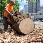Why Stump Grinding Pricing Should Include Environmental Offsets