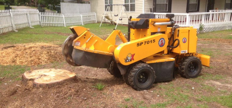 Stump Grinding Near Me