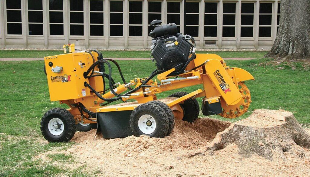 What Stump Grinding in Sydney Teaches Us About Endings and Regrowth