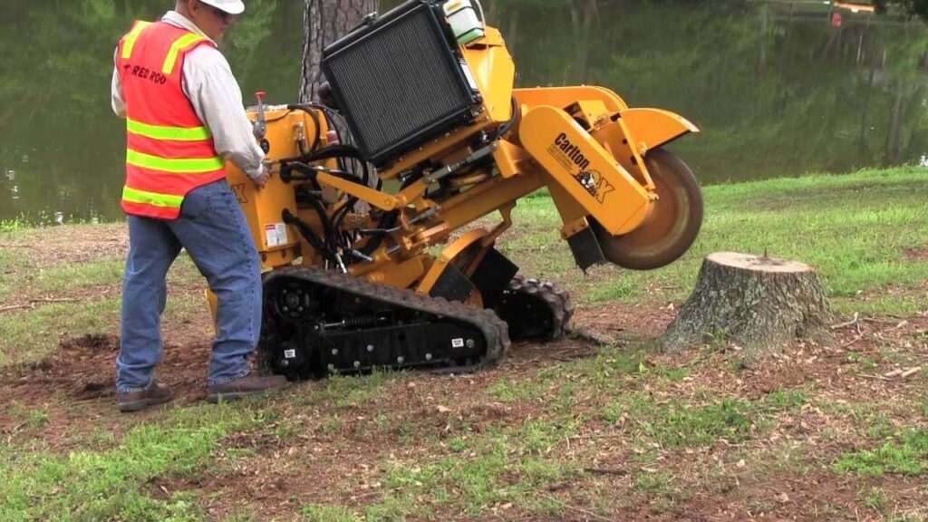 Why Stump Grinding Pricing Should Include Environmental Offsets