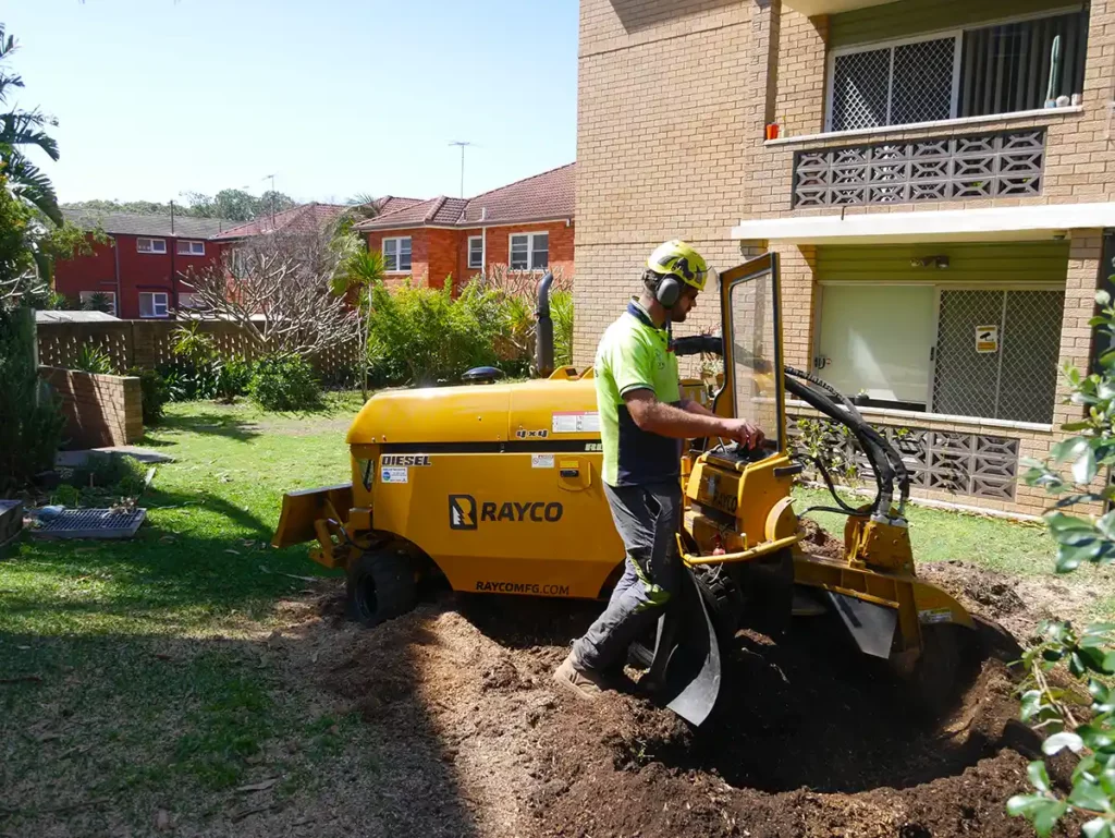 What Stump Grinding in Sydney Teaches Us About Endings and Regrowth