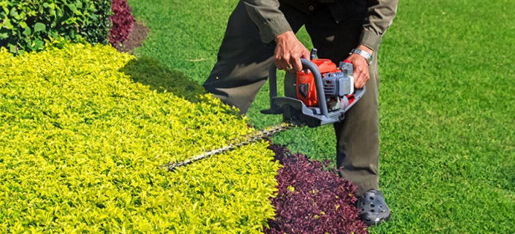 hedge trimming