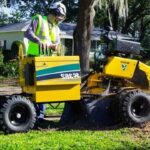 Top Reasons You Need Professional Tree Removal in Sydney This Year