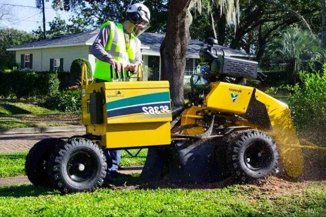 Top Reasons You Need Professional Tree Removal in Sydney This Year