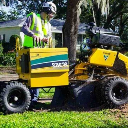 Top Reasons You Need Professional Tree Removal in Sydney This Year