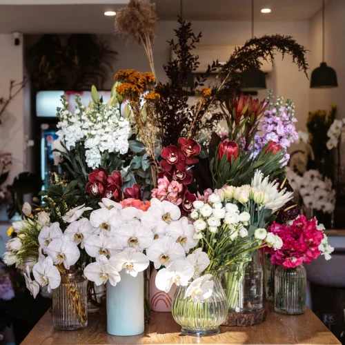 Wollstonecraft florist