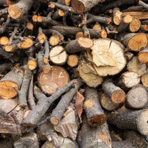 Where to Buy Firewood Near Me: Best Local Options for Winter